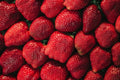Premium Hand-Picked Strawberries